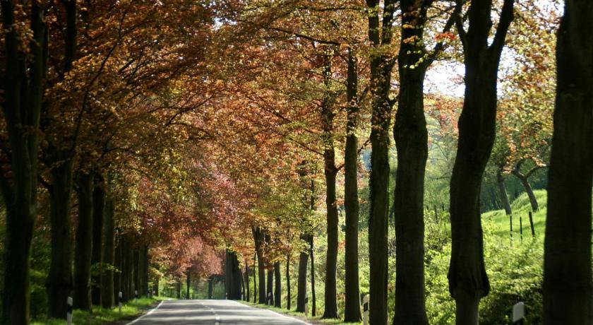 Готель Altes Zollhaus Naehe Luxemburg Ammeldingen an der Our Екстер'єр фото